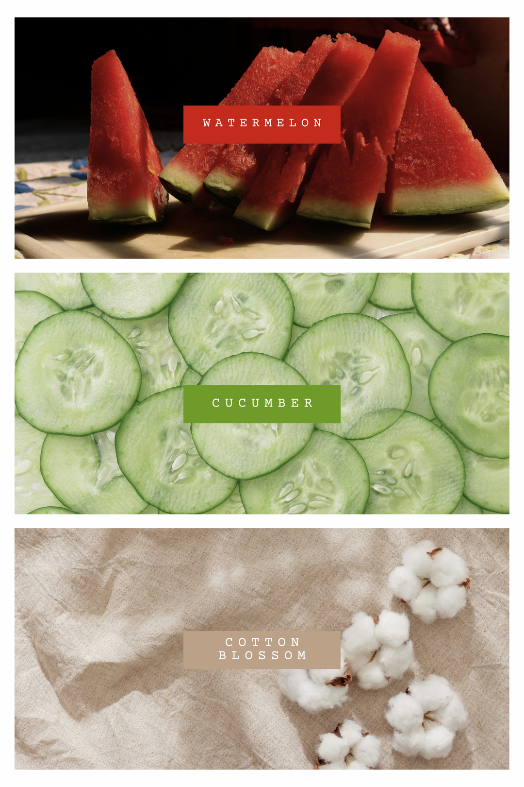 Pop Royalty