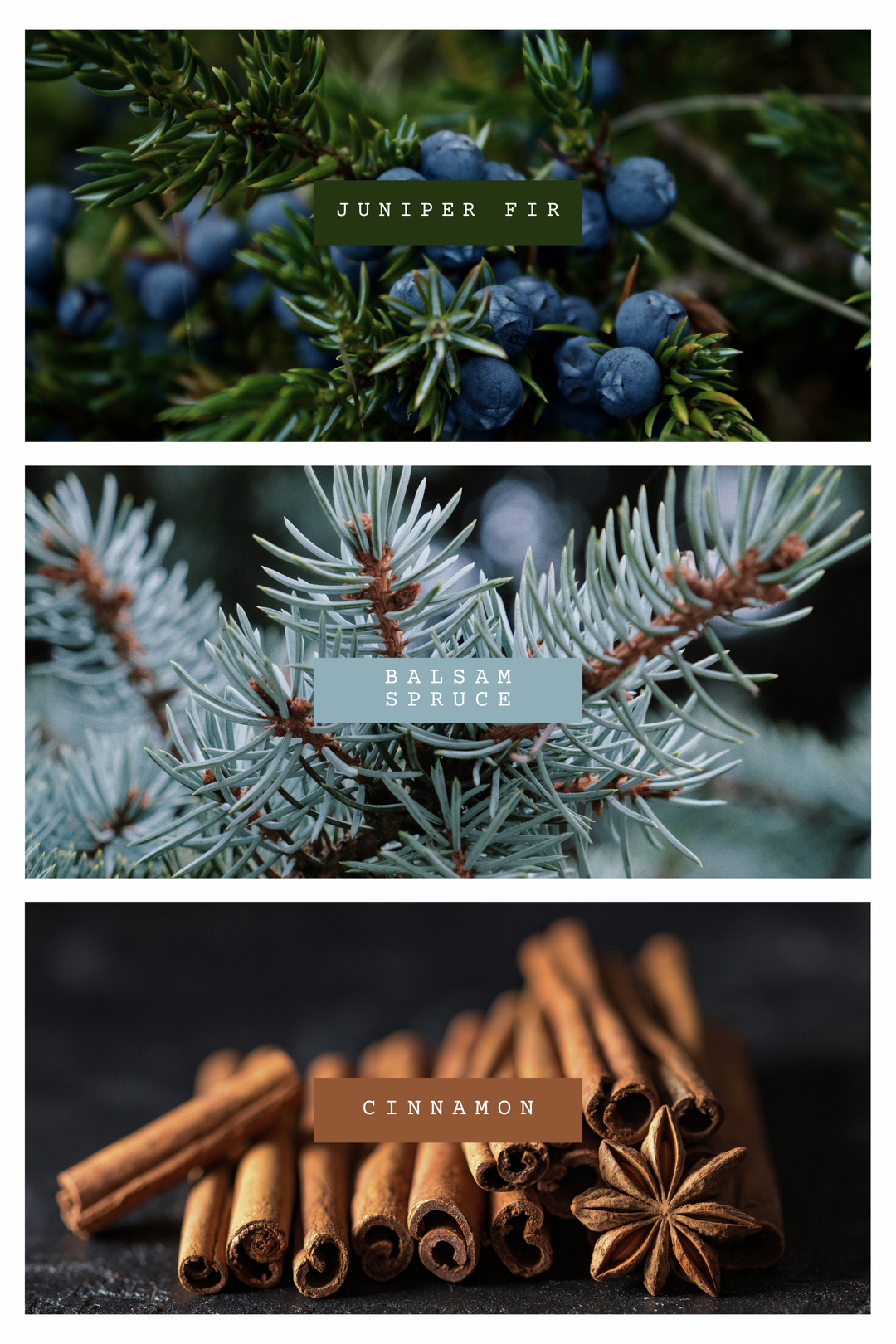 Winter Interlude