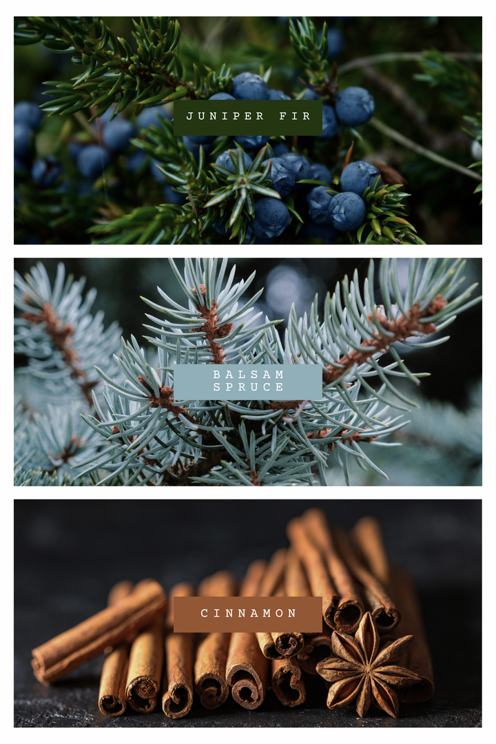 Winter Interlude